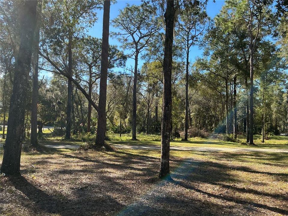 For Sale: $375,000 (9.99 acres)