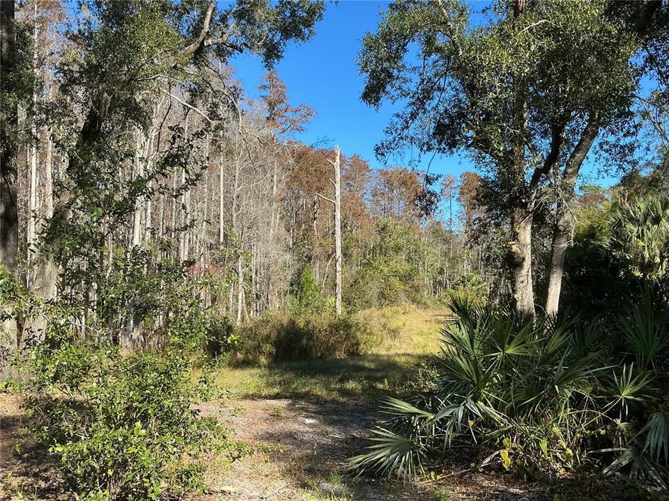 For Sale: $375,000 (9.99 acres)