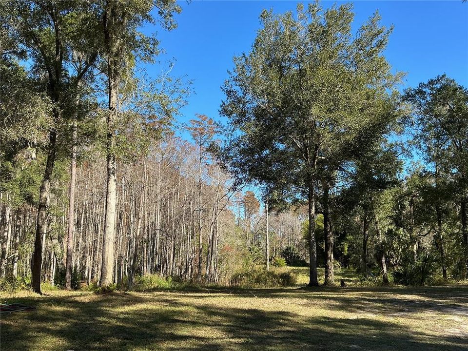 For Sale: $375,000 (9.99 acres)