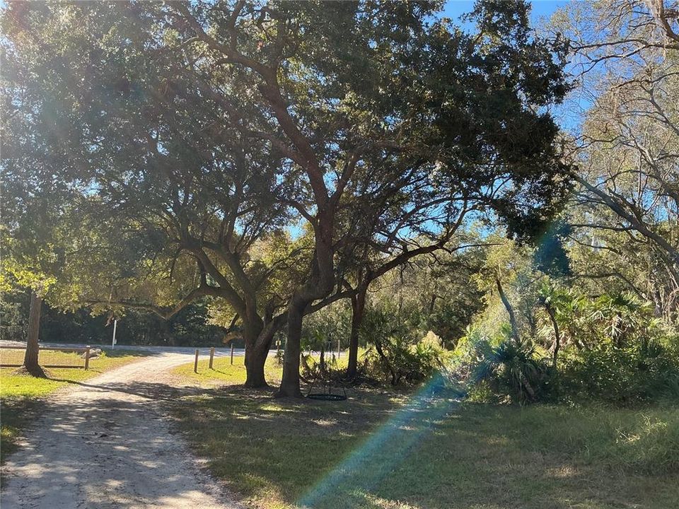 For Sale: $375,000 (9.99 acres)