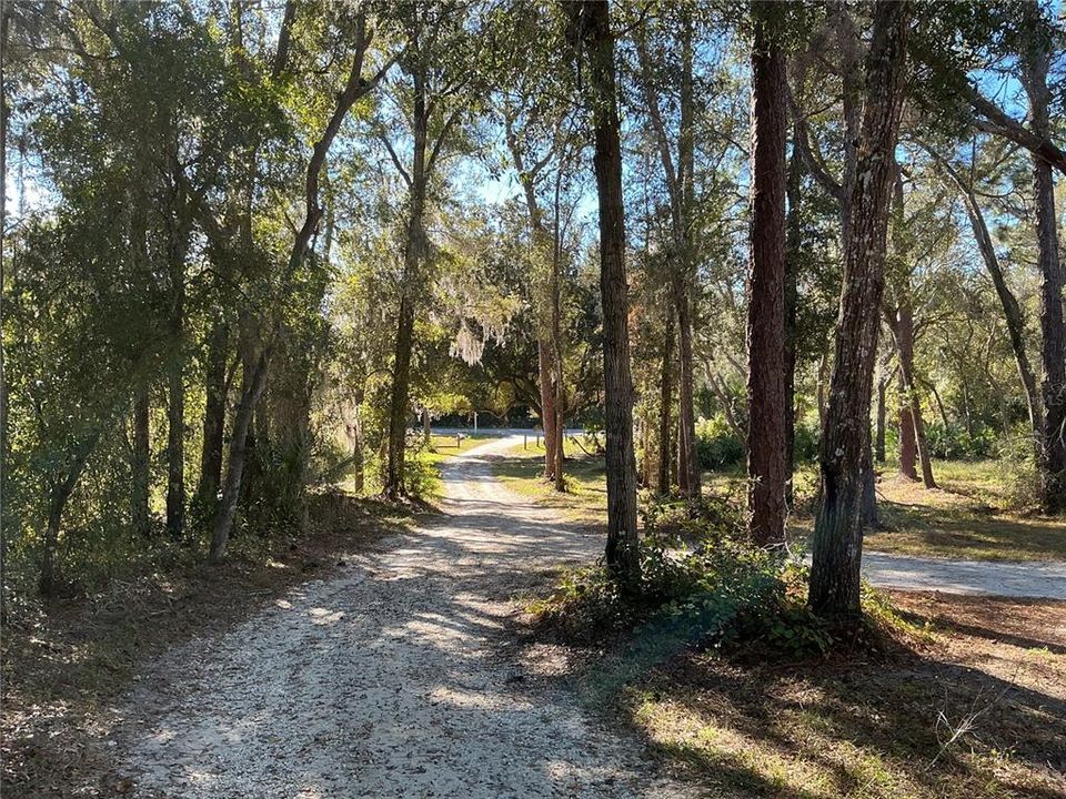 For Sale: $375,000 (9.99 acres)