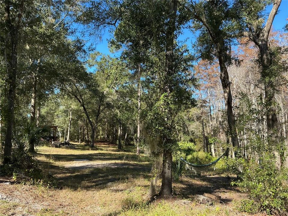 For Sale: $375,000 (9.99 acres)