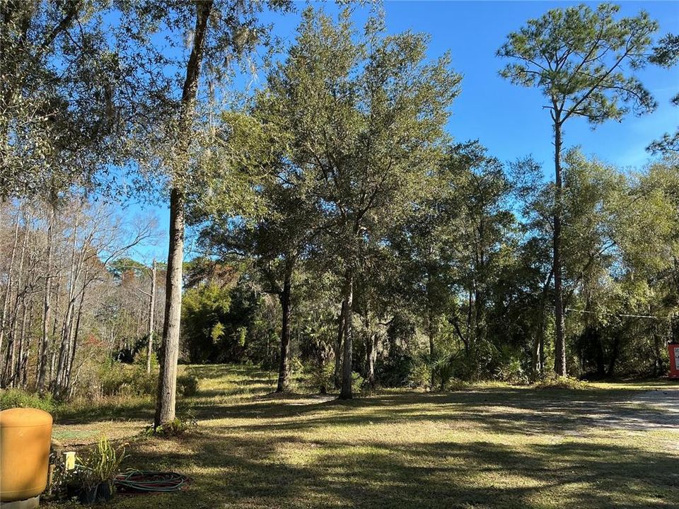 For Sale: $375,000 (9.99 acres)