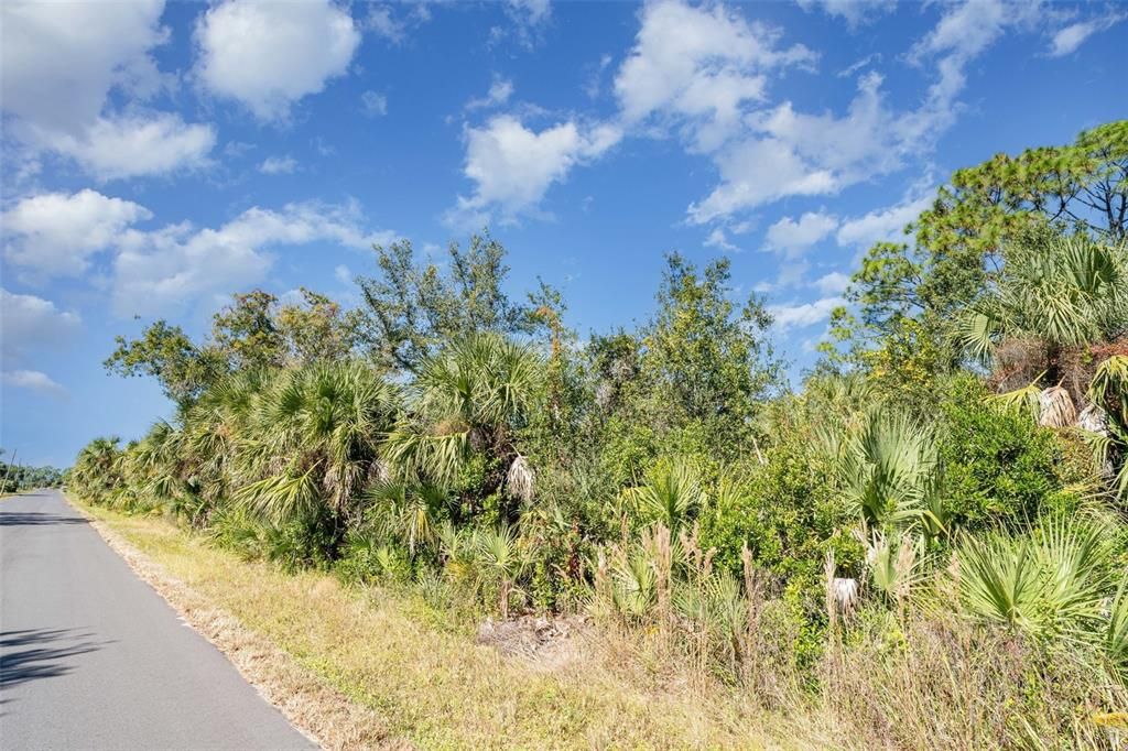 待售: $18,000 (0.23 acres)