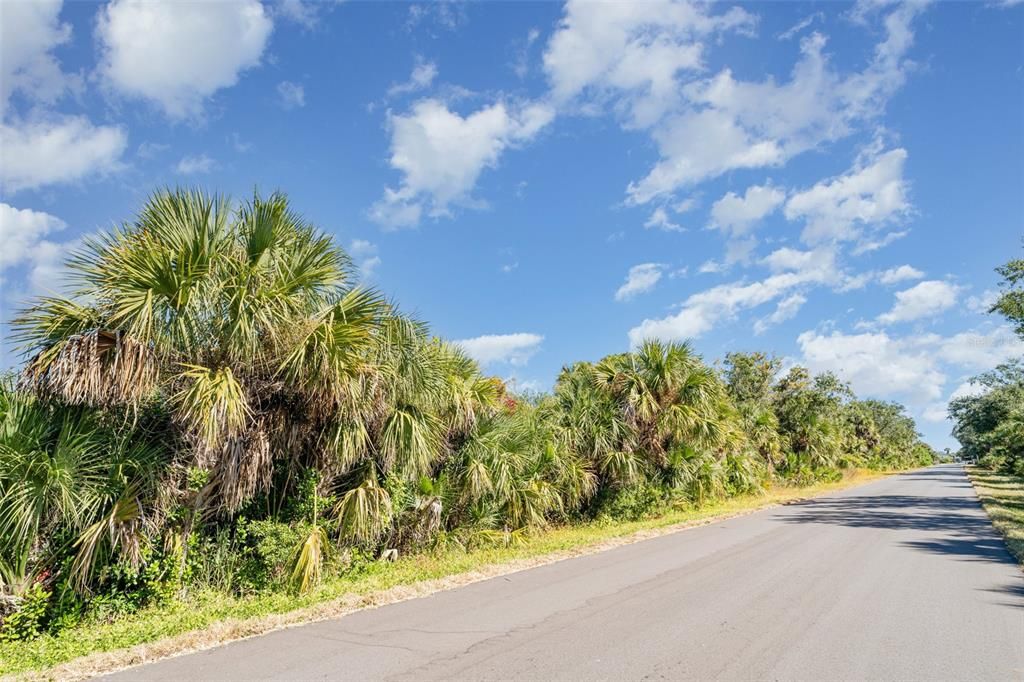 待售: $18,000 (0.23 acres)