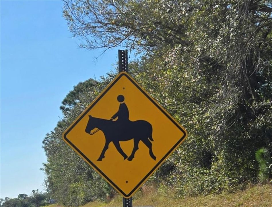 For Sale: $895,000 (3 beds, 2 baths, 2355 Square Feet)