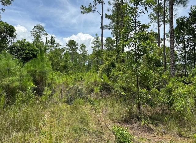 На продажу: $18,000 (1.25 acres)