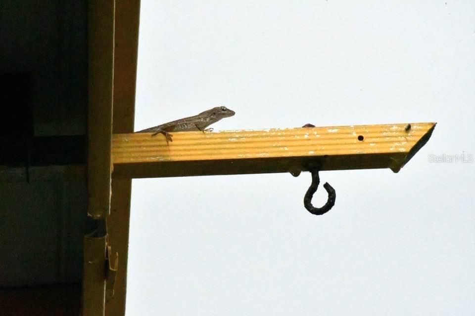 For Sale: $329,900 (4 beds, 2 baths, 1858 Square Feet)