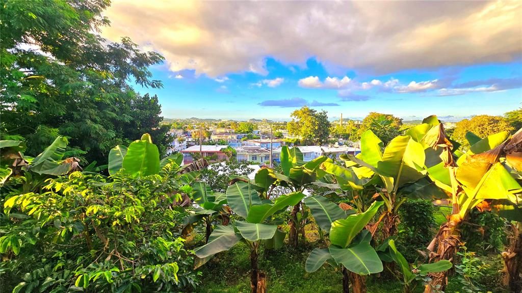 Под контрактом: $290,000 (7 спален, 0 ванн, 2940 Квадратных фут)