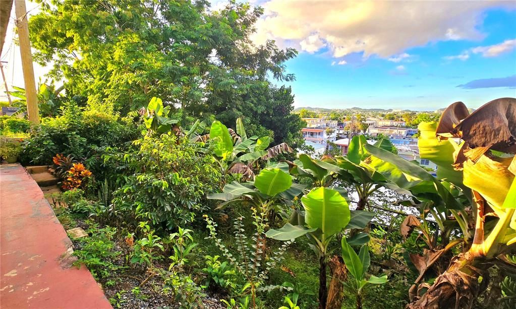 Под контрактом: $290,000 (7 спален, 0 ванн, 2940 Квадратных фут)