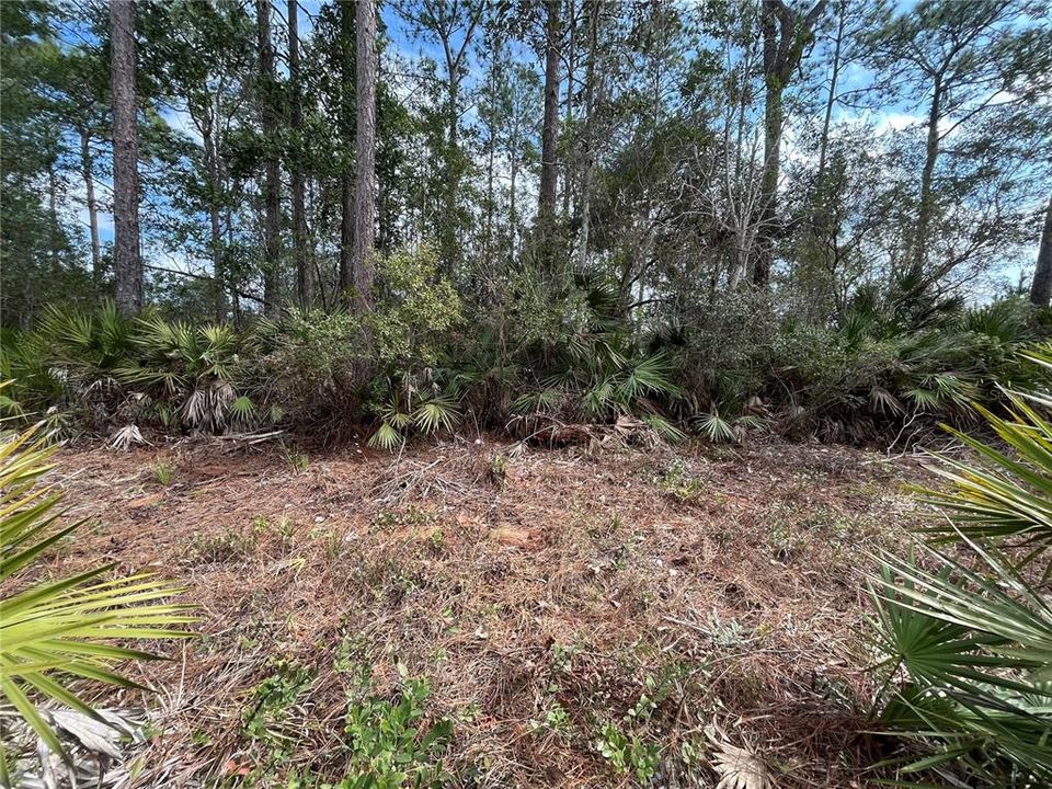 待售: $8,500 (0.26 acres)