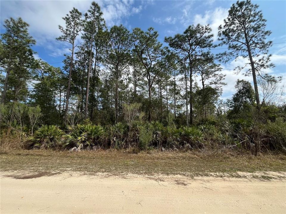 待售: $8,500 (0.26 acres)