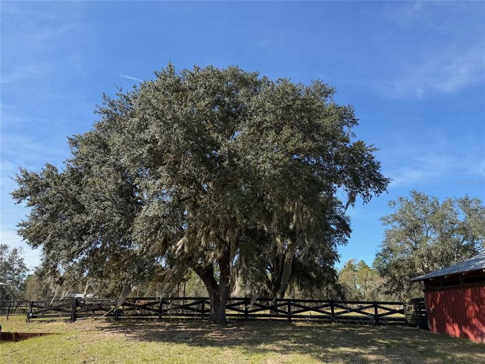 For Sale: $449,000 (2 beds, 2 baths, 1092 Square Feet)