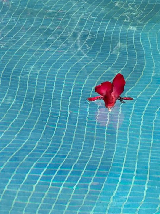 На продажу: $22,500,000 (54 спален, 0 ванн, 172000 Квадратных фут)