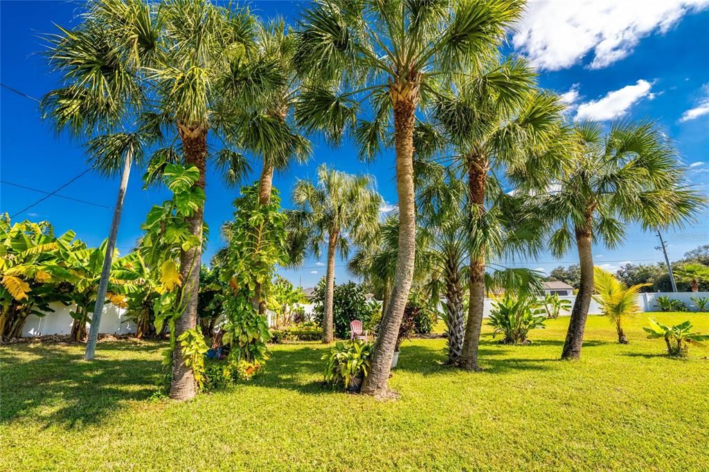 待售: $725,000 (3 贝兹, 2 浴室, 2335 平方英尺)