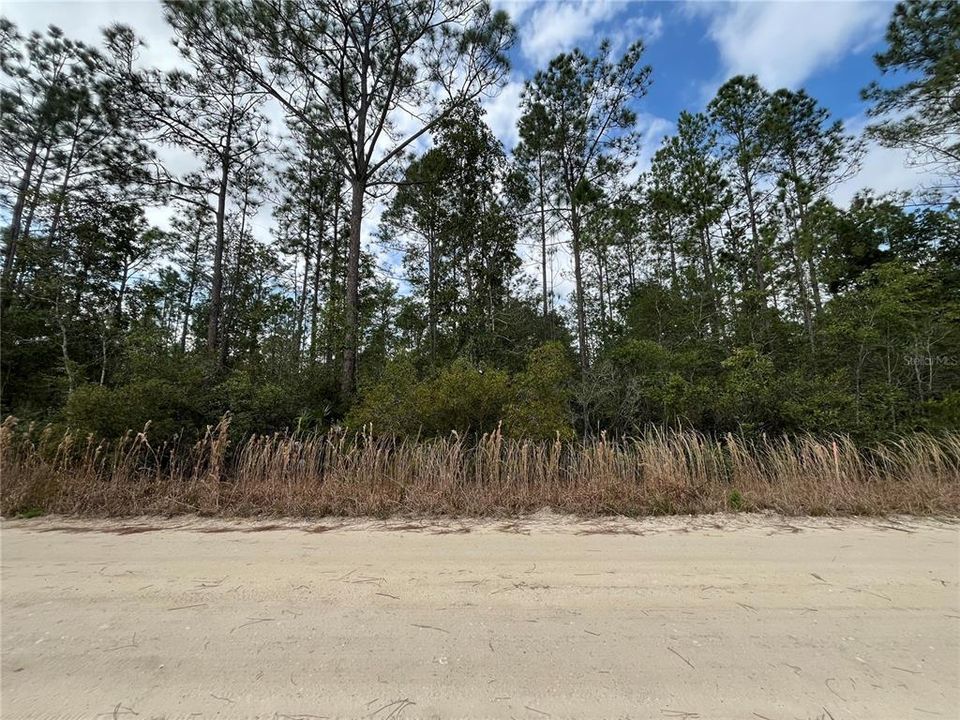 待售: $8,100 (0.22 acres)