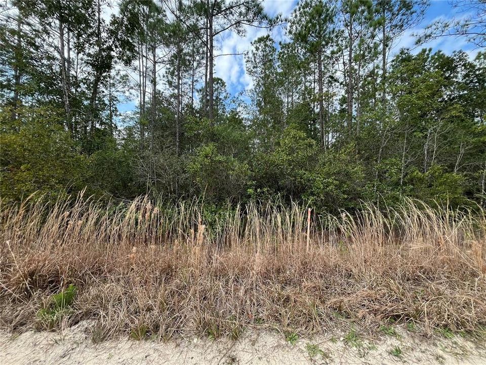 待售: $8,100 (0.22 acres)