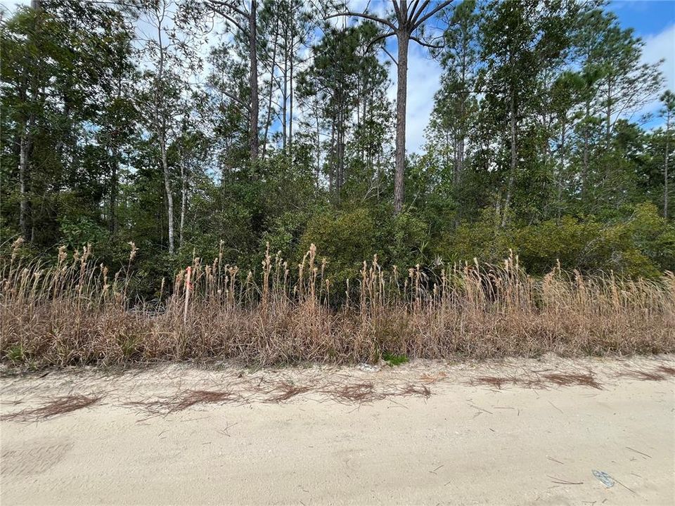 待售: $8,100 (0.22 acres)