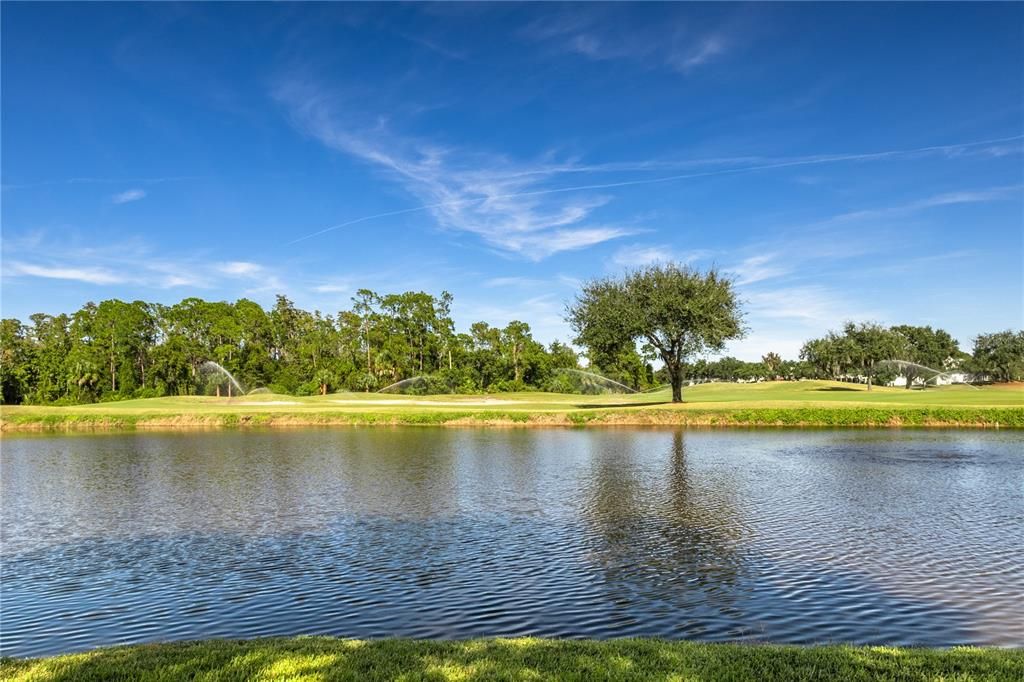 出租: $3,500 (3 贝兹, 2 浴室, 1600 平方英尺)