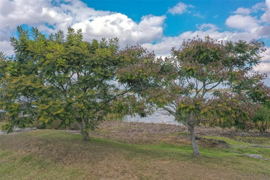 出租: $2,495 (4 贝兹, 2 浴室, 2223 平方英尺)