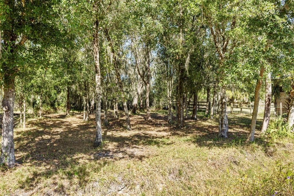 For Sale: $895,000 (3 beds, 2 baths, 2354 Square Feet)