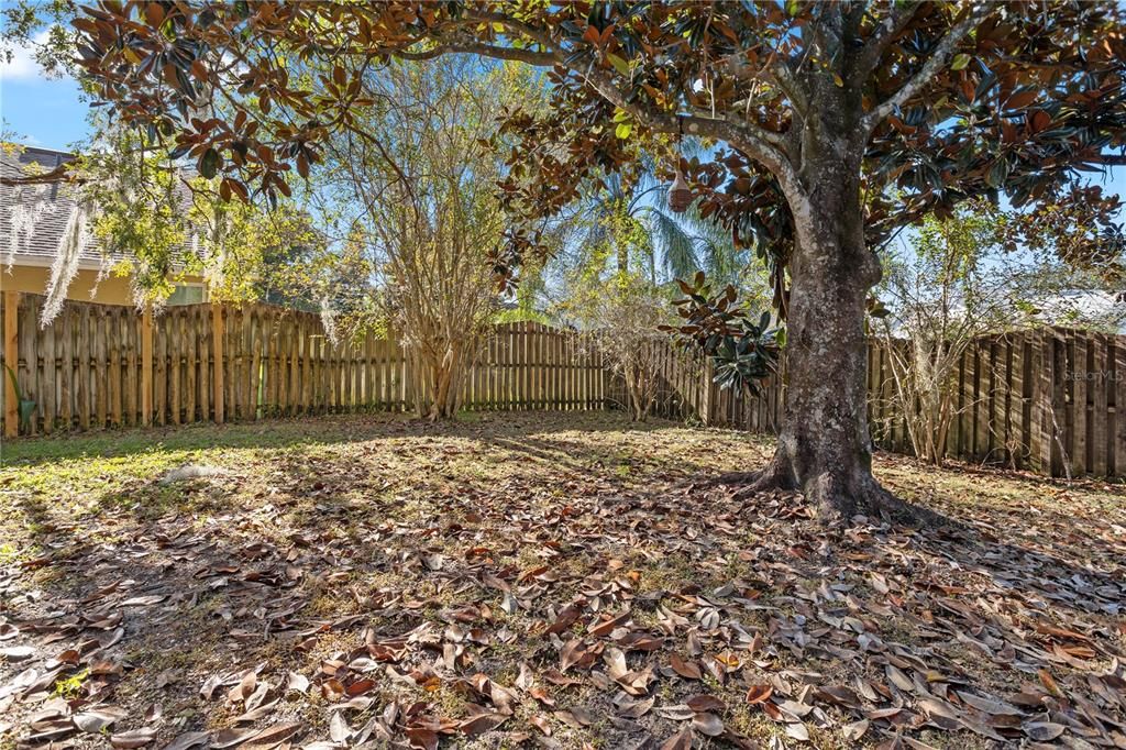 合同活跃: $450,000 (3 贝兹, 2 浴室, 2082 平方英尺)