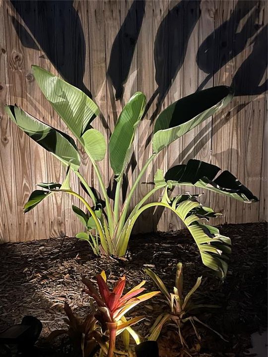 En Renta: $1,850 (1 camas, 1 baños, 618 Pies cuadrados)