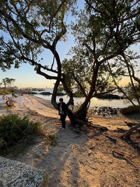 En Renta: $1,850 (1 camas, 1 baños, 618 Pies cuadrados)