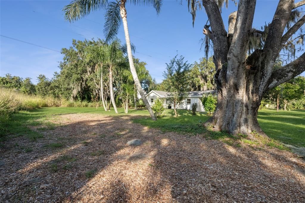 合同活跃: $319,900 (3 贝兹, 1 浴室, 1242 平方英尺)