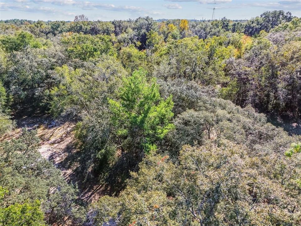 En Venta: $15,000 (0.22 acres)