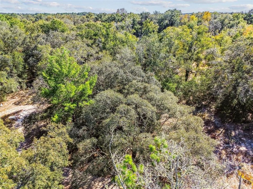 En Venta: $15,000 (0.22 acres)