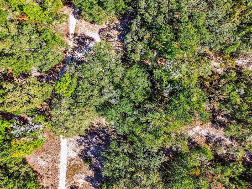 En Venta: $15,000 (0.22 acres)