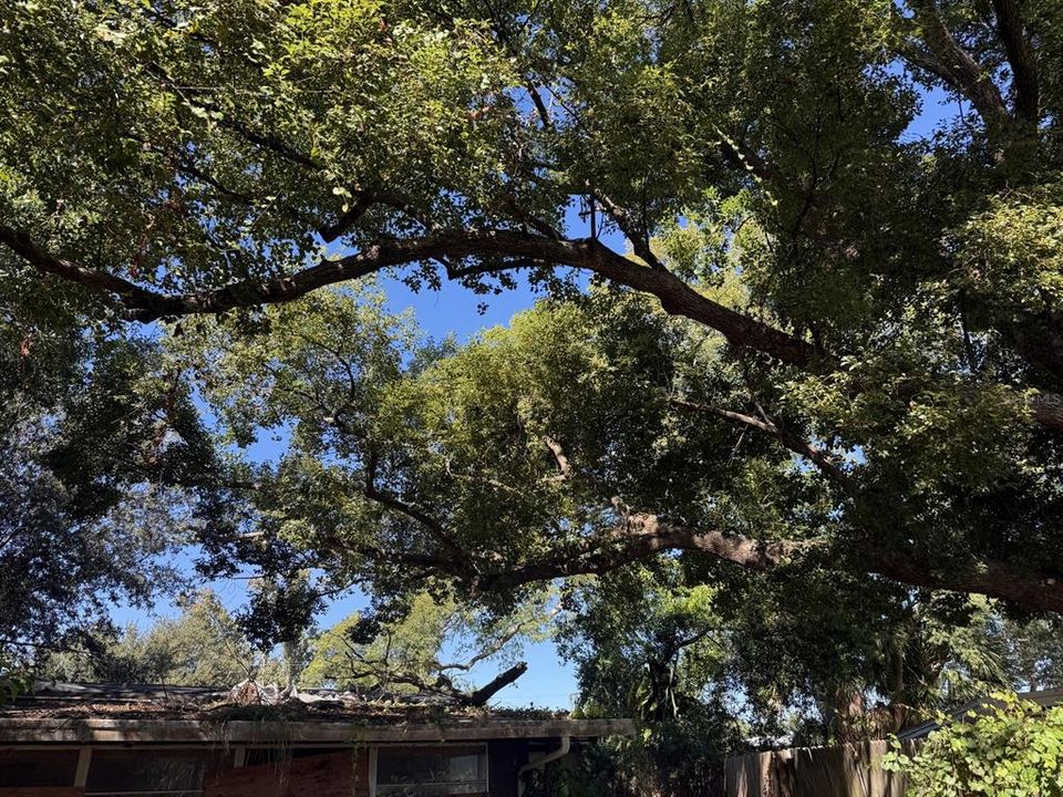 Active With Contract: $169,900 (2 beds, 2 baths, 1128 Square Feet)