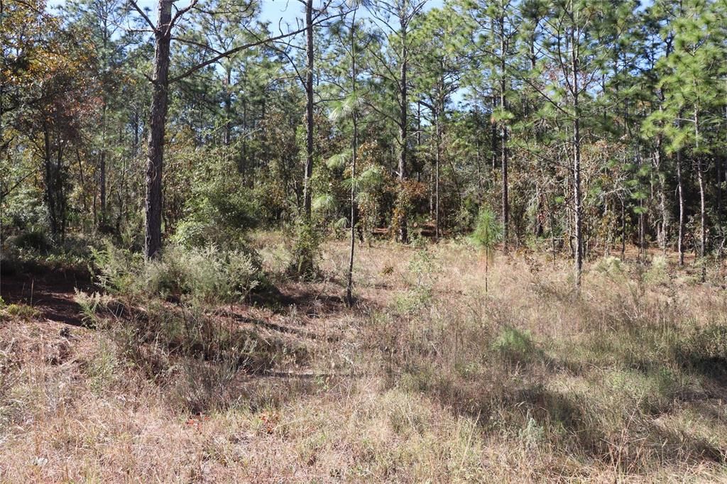 待售: $79,000 (1.40 acres)