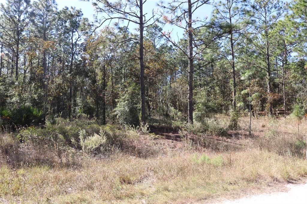 待售: $79,000 (1.40 acres)