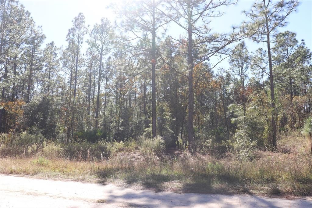 待售: $79,000 (1.40 acres)