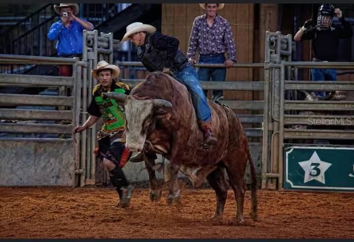 待售: $160,000 (1 贝兹, 1 浴室, 370 平方英尺)