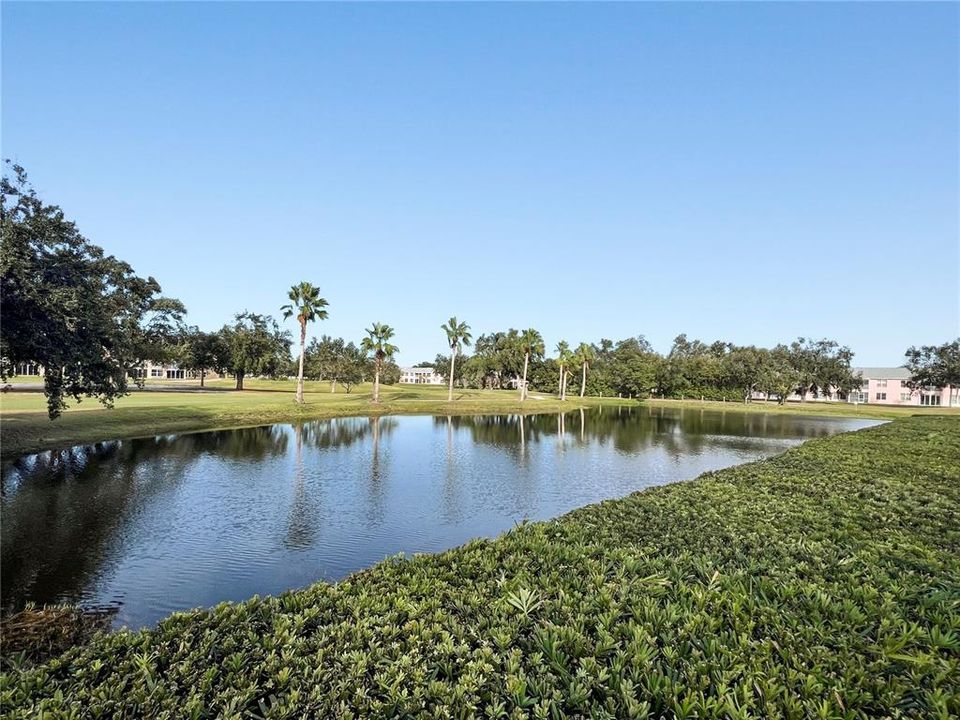 For Sale: $209,000 (2 beds, 2 baths, 1256 Square Feet)