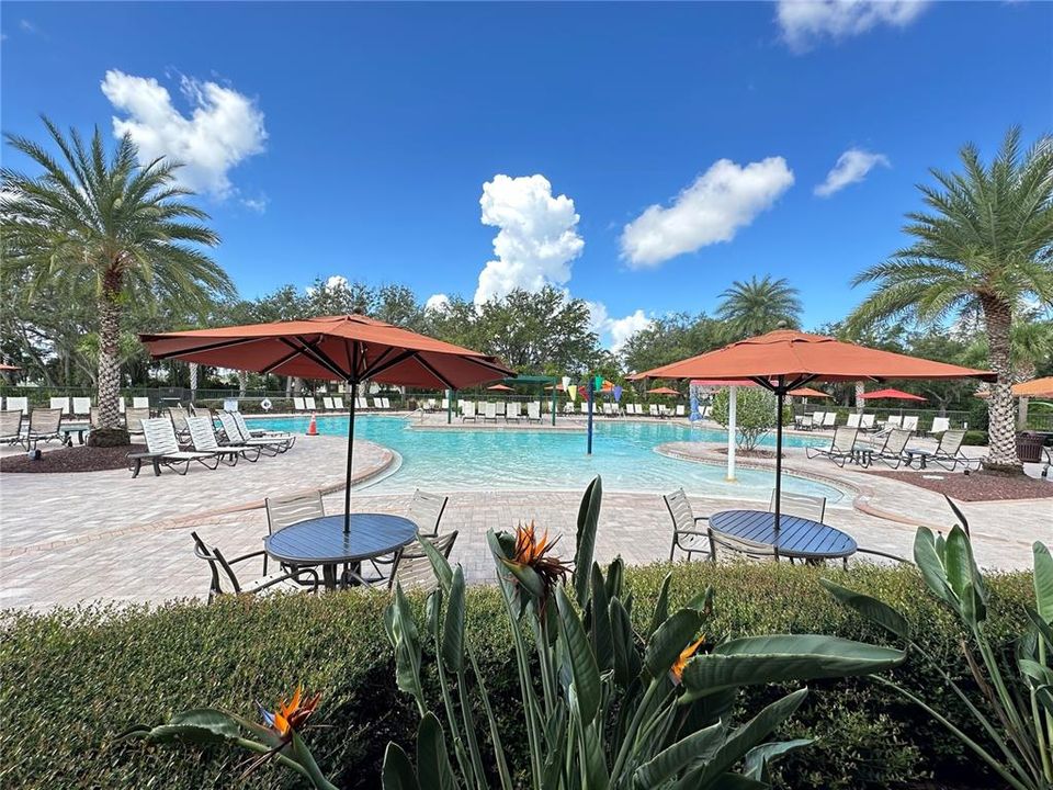 出租: $2,450 (4 贝兹, 2 浴室, 1846 平方英尺)