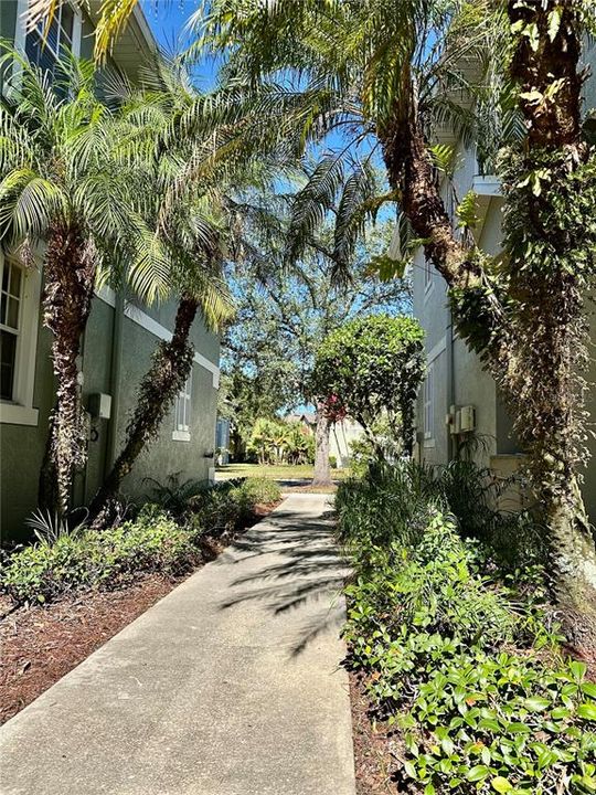 出租: $2,200 (3 贝兹, 2 浴室, 1513 平方英尺)