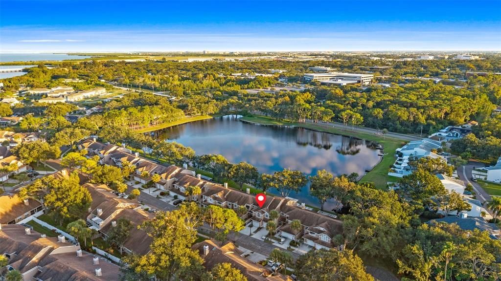 出租: $3,000 (3 贝兹, 2 浴室, 1450 平方英尺)