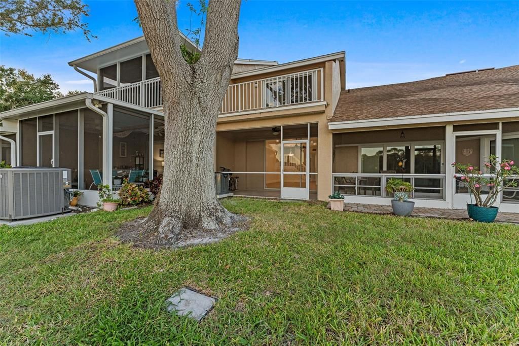 出租: $3,000 (3 贝兹, 2 浴室, 1450 平方英尺)