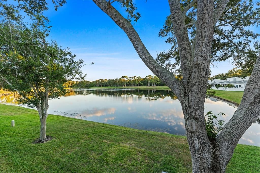 出租: $3,000 (3 贝兹, 2 浴室, 1450 平方英尺)