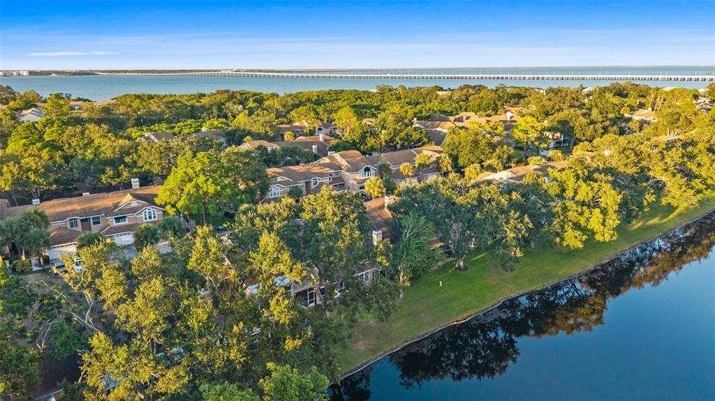 出租: $3,000 (3 贝兹, 2 浴室, 1450 平方英尺)