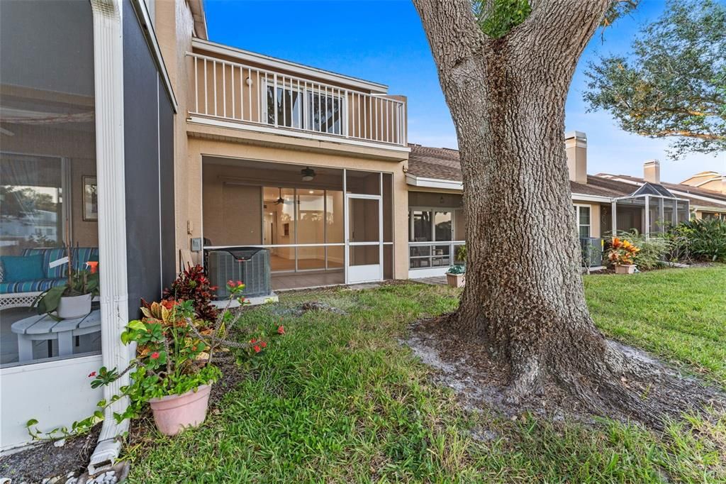 出租: $3,000 (3 贝兹, 2 浴室, 1450 平方英尺)