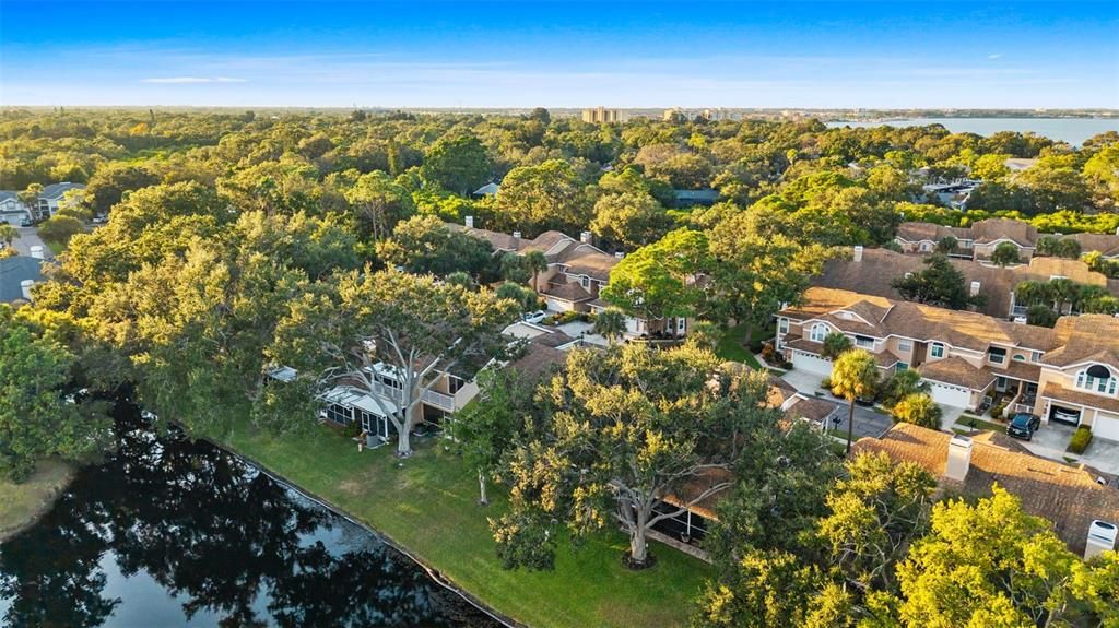 出租: $3,000 (3 贝兹, 2 浴室, 1450 平方英尺)