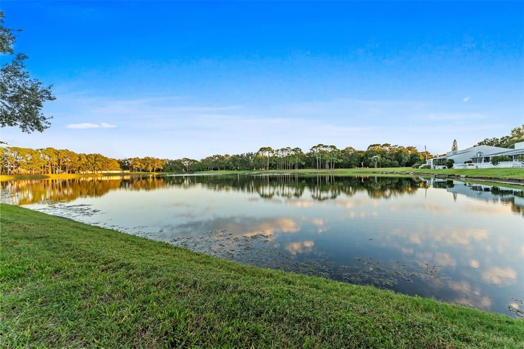 出租: $3,000 (3 贝兹, 2 浴室, 1450 平方英尺)