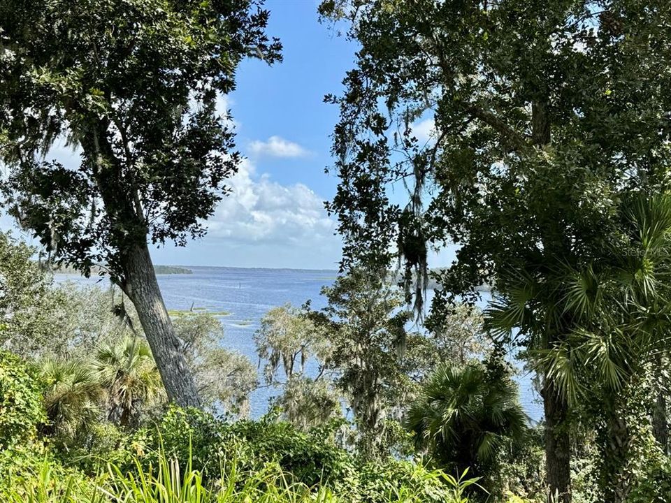 待售: $68,000 (0.06 acres)