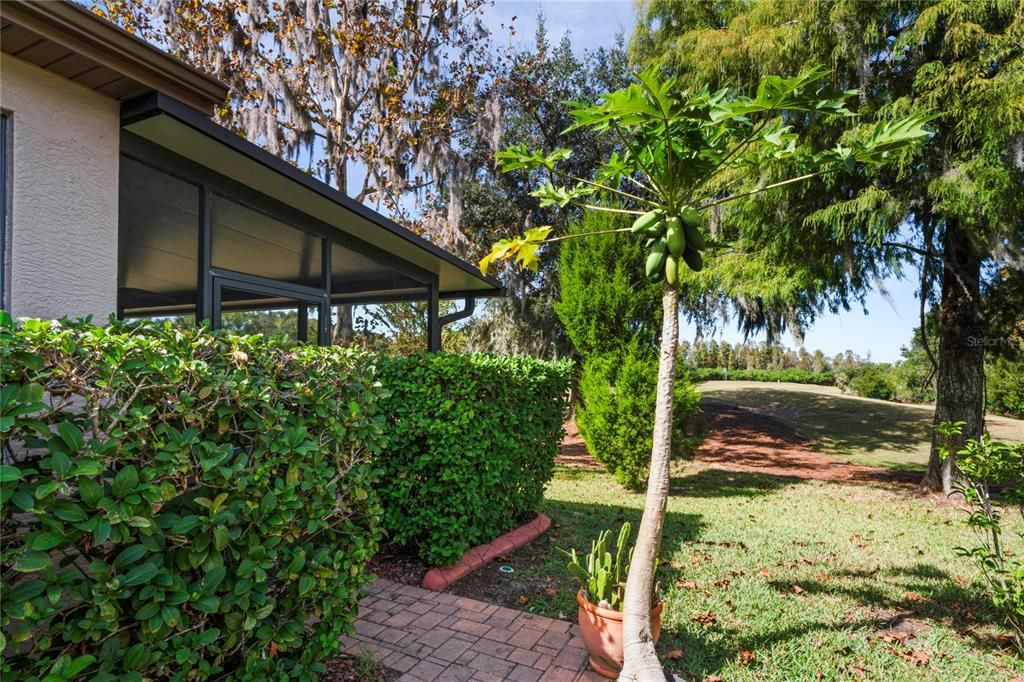 待售: $352,900 (3 贝兹, 2 浴室, 1804 平方英尺)