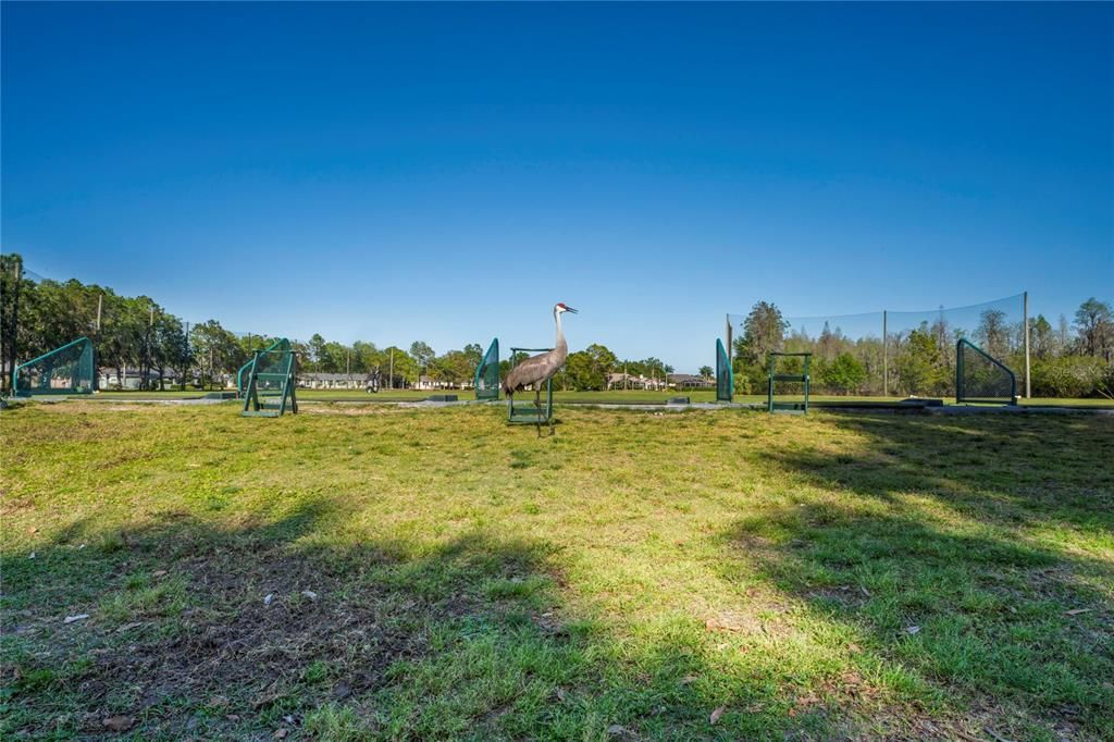 待售: $352,900 (3 贝兹, 2 浴室, 1804 平方英尺)